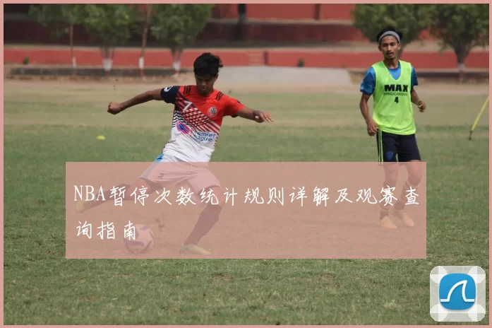 NBA暂停次数统计规则详解及观赛查询指南